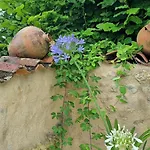 Maison D'amis Salles-Lavalette