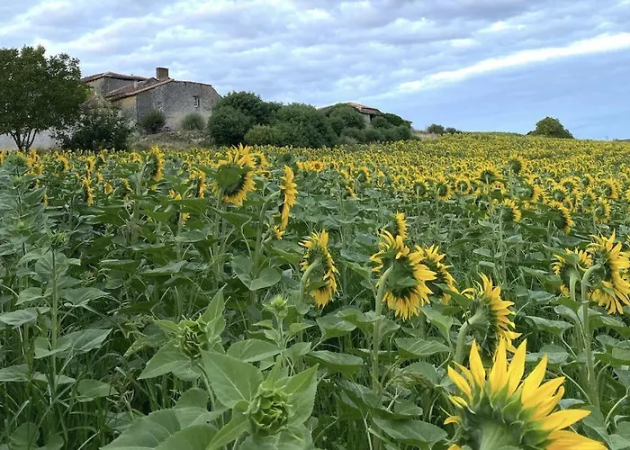Maison D'amis Salles-Lavalette